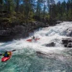 33152736_10160331547520183_4116893343407931392_n