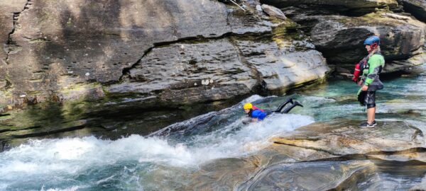 IMG_20210806_120552 IMG_20210806_120552