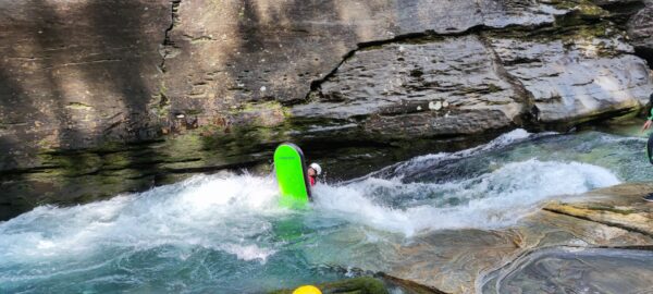 IMG_20210806_120837 IMG_20210806_120837