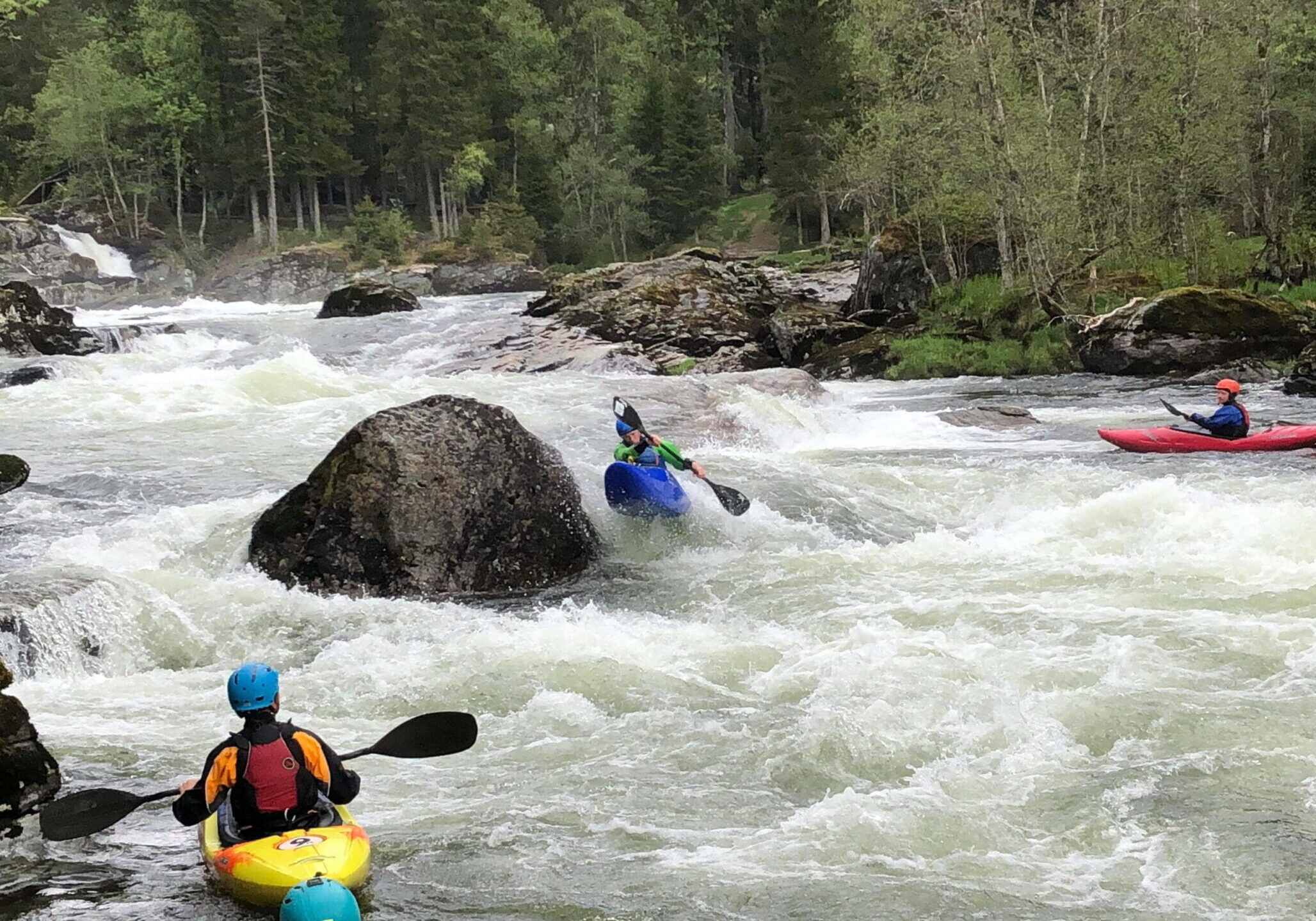 190711801_2951290545160630_8116986909534096069_n